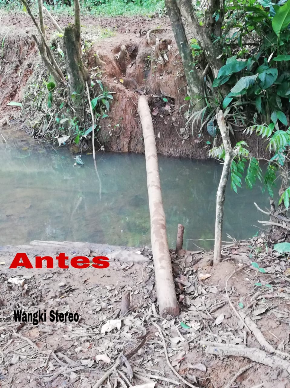 PUENTE2